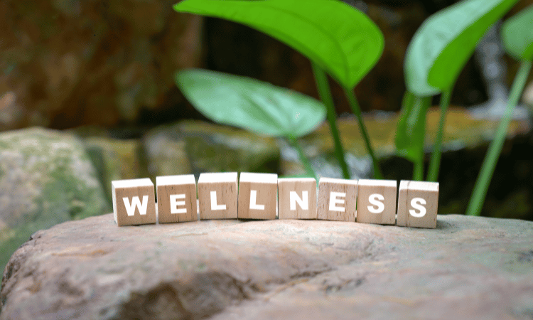 Building Healthier Habits